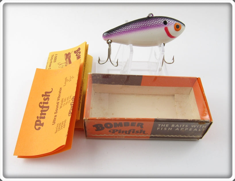 Bomber Purple Scale White Belly Pinfish In Box