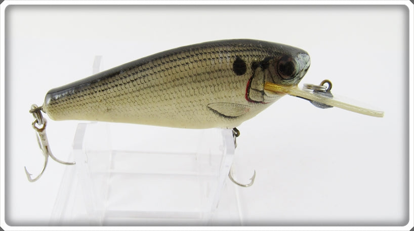 Bagley Shad On White Small Fry Shad