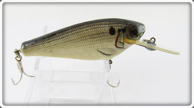 Bagley Shad On White Small Fry Shad
