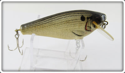 Bagley Shad On White Small Fry Shad