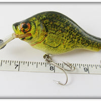 Bagley Crappie Small Fry Crappie