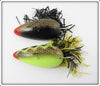 Swamp Fox Moss Boss Pair: Black & Yellow