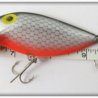 Storm Shad Orange Belly Thinfin Silver Shad