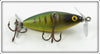 Phillips Fly & Tackle Co Perch Crippled Killer In Box
