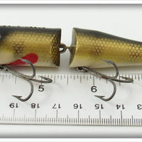 Creek Chub Perch Jointed Pikie