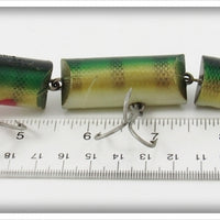 Creek Chub Perch Triple Jointed Pikie