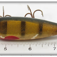 Creek Chub Perch Injured Minnow