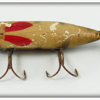 Creek Chub Perch Injured Minnow