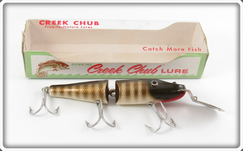 Creek Chub Pikie Scale Jointed Deep Diving Pikie Lure In Box