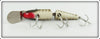 Creek Chub Pikie Scale Jointed Deep Diving Pikie In Box