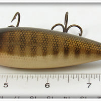 Creek Chub Pikie Scale Injured Minnow