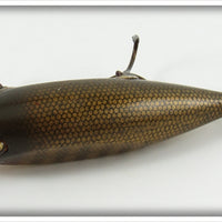 Creek Chub Pikie Scale Injured Minnow
