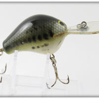 Bagley Little Bass On White Diving B DB1