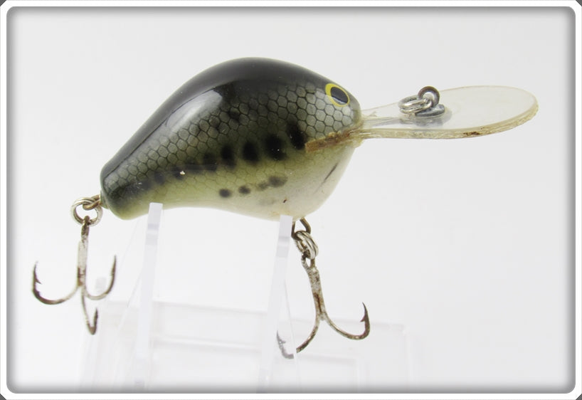 Bagley Little Bass On White Diving B DB1