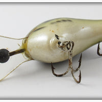 Bagley Little Bass On White Diving B DB1