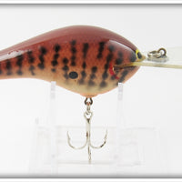 Bagley Dark Crayfish Diving B DB3