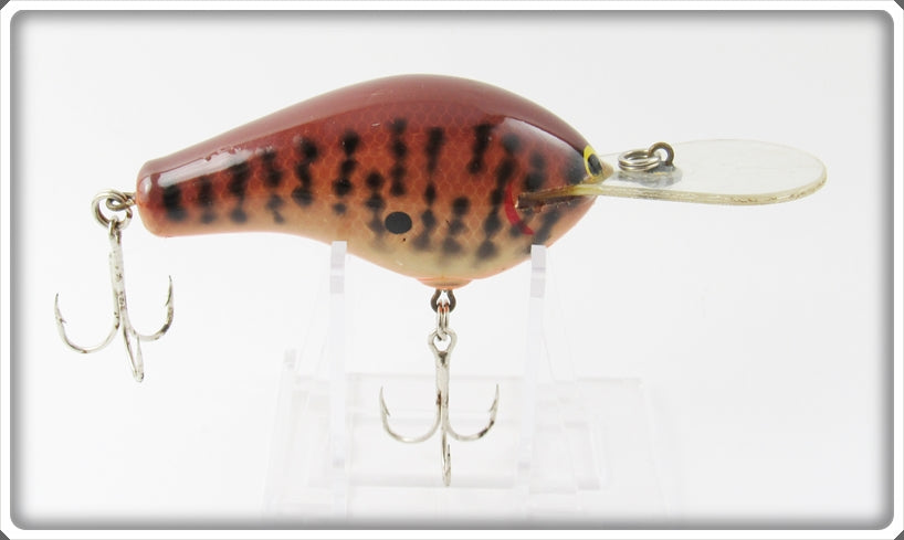 Bagley Dark Crayfish Diving B DB3