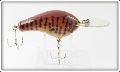 Bagley Dark Crayfish Diving B DB3