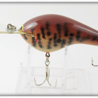 Bagley Dark Crayfish Diving B DB3