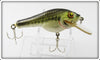 Bagley Little Bass On White Small Fry Bass