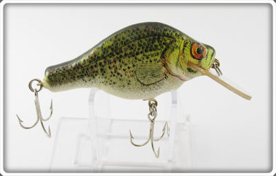 Bagley Crappie Small Fry Crappie