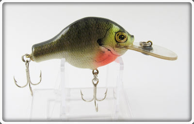 Bagley Bream On White Small Fry Bream