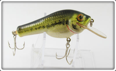 Bagley Little Bass On White Small Fry Bass