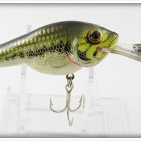 Bagley Little Bass On White Small Fry Bass