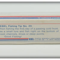 Rebel Naturalized Striped Bass Minnow In Box