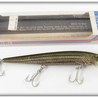 Vintage Rebel Naturalized Striped Bass Minnow In Box