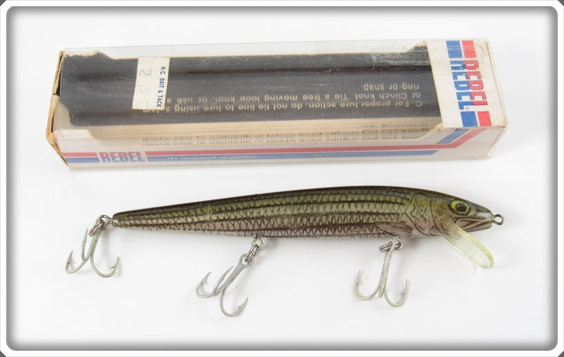 Vintage Rebel Naturalized Striped Bass Minnow In Box For Sale