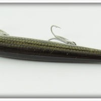 Rebel Naturalized Striped Bass Minnow In Box