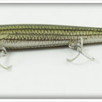 Rebel Naturalized Striped Bass Minnow In Box