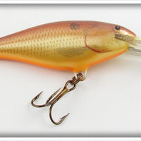 Rapala CW Shad Rap In Box