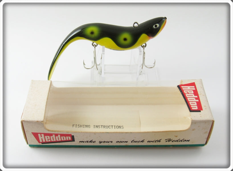 Heddon Bullfrog Cousin In Box