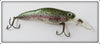 Crankbait Corp Natural Rainbow Trout Fingerling
