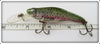 Crankbait Corp Natural Rainbow Trout Fingerling