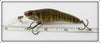 Crankbait Corp Natural Perch Trout Fingerling