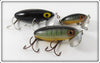 Vintage Arbogast Black & Perch Jitterbug Lot Of Three Lures 