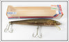 Vintage Rebel Naturalized Striped Bass 7" Floater Lure In Box