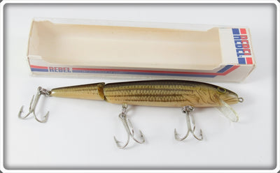 Rebel Naturalized Striped Bass Jointed Floater Lure In Box 