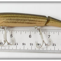 Rebel Naturalized Striped Bass Jointed Floater In Box