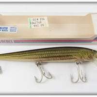 Vintage Rebel Naturalized Striped Bass Sinker Lure In Box