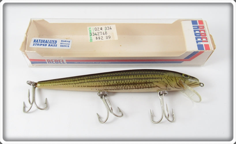 Vintage Rebel Naturalized Striped Bass Sinker Lure In Box