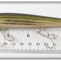 Rebel Naturalized Striped Bass Sinker In Box