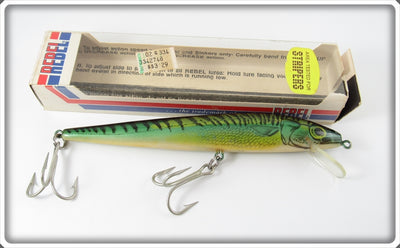 Vintage Rebel Naturalized Spanish Mackerel 7