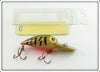Storm Green Crawdad Wiggle Wart Lure In Box