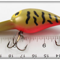 Storm Green Crawdad Wiggle Wart In Box