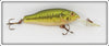 Rebel Natural Bass Baitfish Series In Box