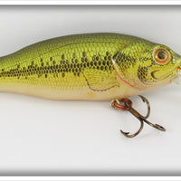 Rebel Natural Bass Baitfish Series In Box